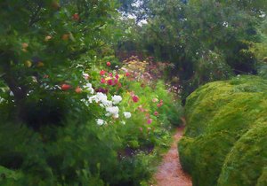 Into the Garden