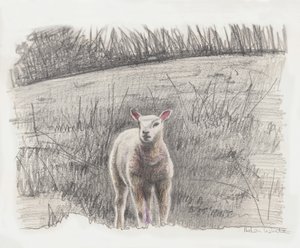 Lamby, 2016