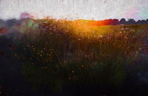 Midsummer Glow