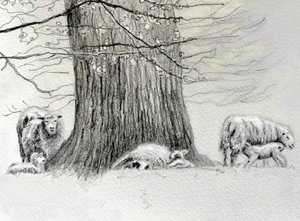 Shady Tree, 2022