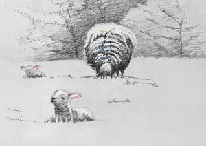 Sheep Trio, 2022