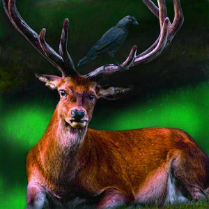 Symbiosis by Helen White