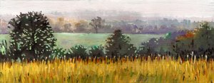 Towards Grazeley, 2012