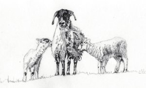 We Three, 2012 by Helen White