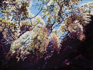 White Wisteria by Helen White