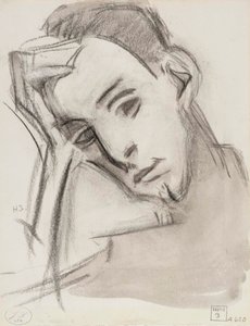 The Nephew by Helene Schjerfbeck