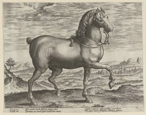 Stallion from Germany by Hendrick Goltzius (possibly)