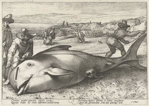 Stranded Pilot Whale on the Beach at Zandvoort, 1594 by Hendrick Goltzius (workshop of)