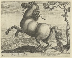 Horse from Tuscany (series title: Horse Breeds from the Royal Stables of Don Juan of Austria) by Hendrick Goltzius
