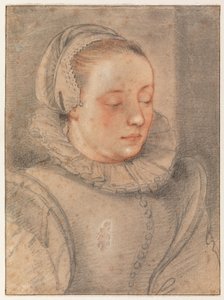 Portrait of a Young Woman