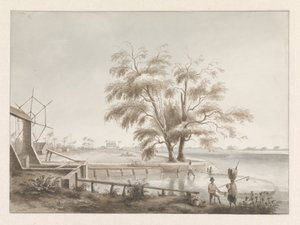 View of a Plantation with a Sluice on the Left