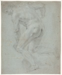 Male Model Study by Hendrik Krock