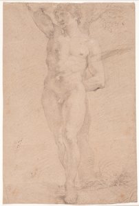 Standing young man with right arm raised