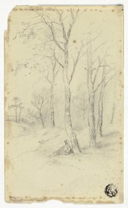 Man Sitting Under Trees