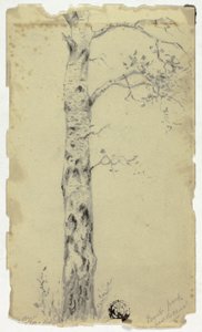 Regent Park Near the Canal by Hendrik Pieter Koekkoek