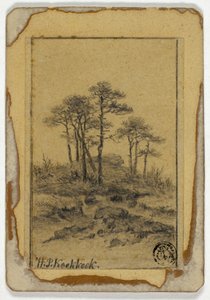 Trees on Rocky Hill
