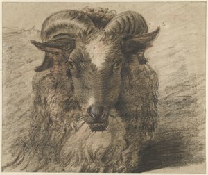 Head of a Ram by Hendrik Stokvisch