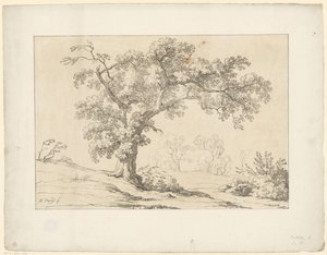 Tree in Landscape Tentamina Lithographica (series title) Italian Landscapes (series title)
