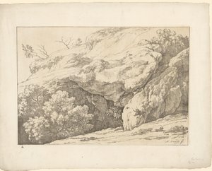 Rocks with Shrubs