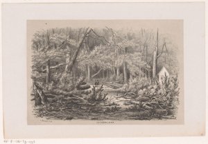 Fallen Trees at Jacobalaan After the Storm of May 28, 1860 by Hendrik Wilhelmus Last