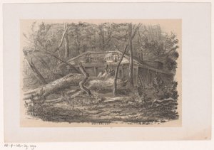 Fallen Tree at Buitenlust, After the Storm of May 28, 1860 (Album of Ten Lithographed Sketches) by Hendrik Wilhelmus Last
