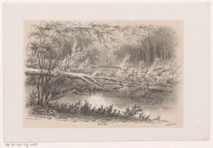 Fallen Tree After the Storm of May 28, 1860 by Hendrik Wilhelmus Last