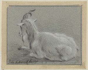 Lying Goat