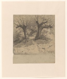 Forest View
