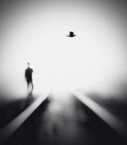 Solitary Man Flying Bird by Hengki Lee