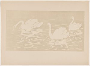 The Swans