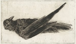 The Large Hanging Raven by Henri-Charles Guérard