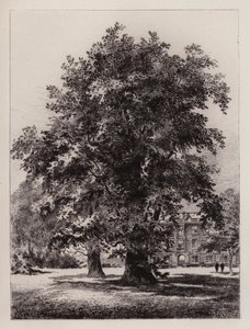 The Garden of Christ