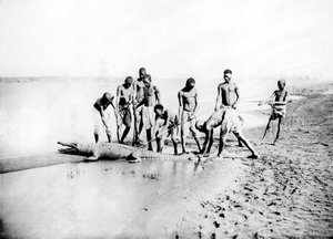Hunting a Crocodile, Nubia, Egypt by Georges Henri Bechard