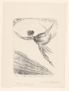 Dancing. Night Bird