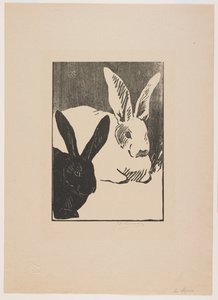 Rabbits