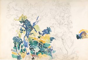Landscape