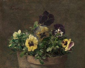 Potted Pansies, 1883