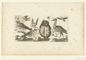 Nine Birds and an Insect (Birds) by Henri Le Roy