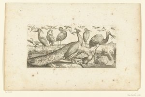 Nineteen Birds (Birds) by Henri Le Roy