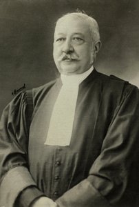 Portrait of Albert Salle by Henri Manuel