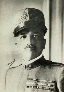 Portrait of Italian General Armando Diaz by Henri Manuel