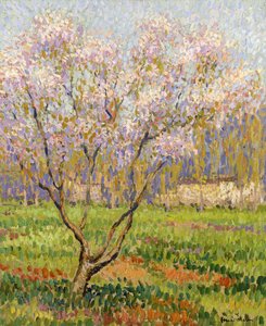 Apple Tree in Blossom by Henri Martin