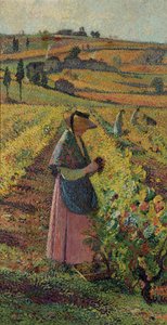 The Harvest (c.1925)