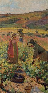 The Picking