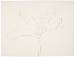 Banana Tree (Tahiti) by Henri Matisse