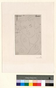 Bust, Flowered Dress by Henri Matisse