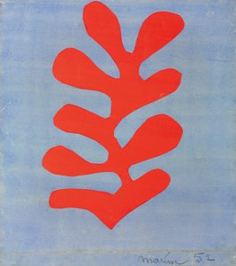 Red Algae on Sky Blue Background