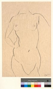 Torso from the Front