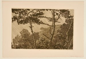 [Trees in a Rain Shower] by Henri Rivière