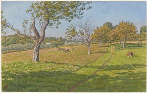 Fields at Auffay by Henri Rivière